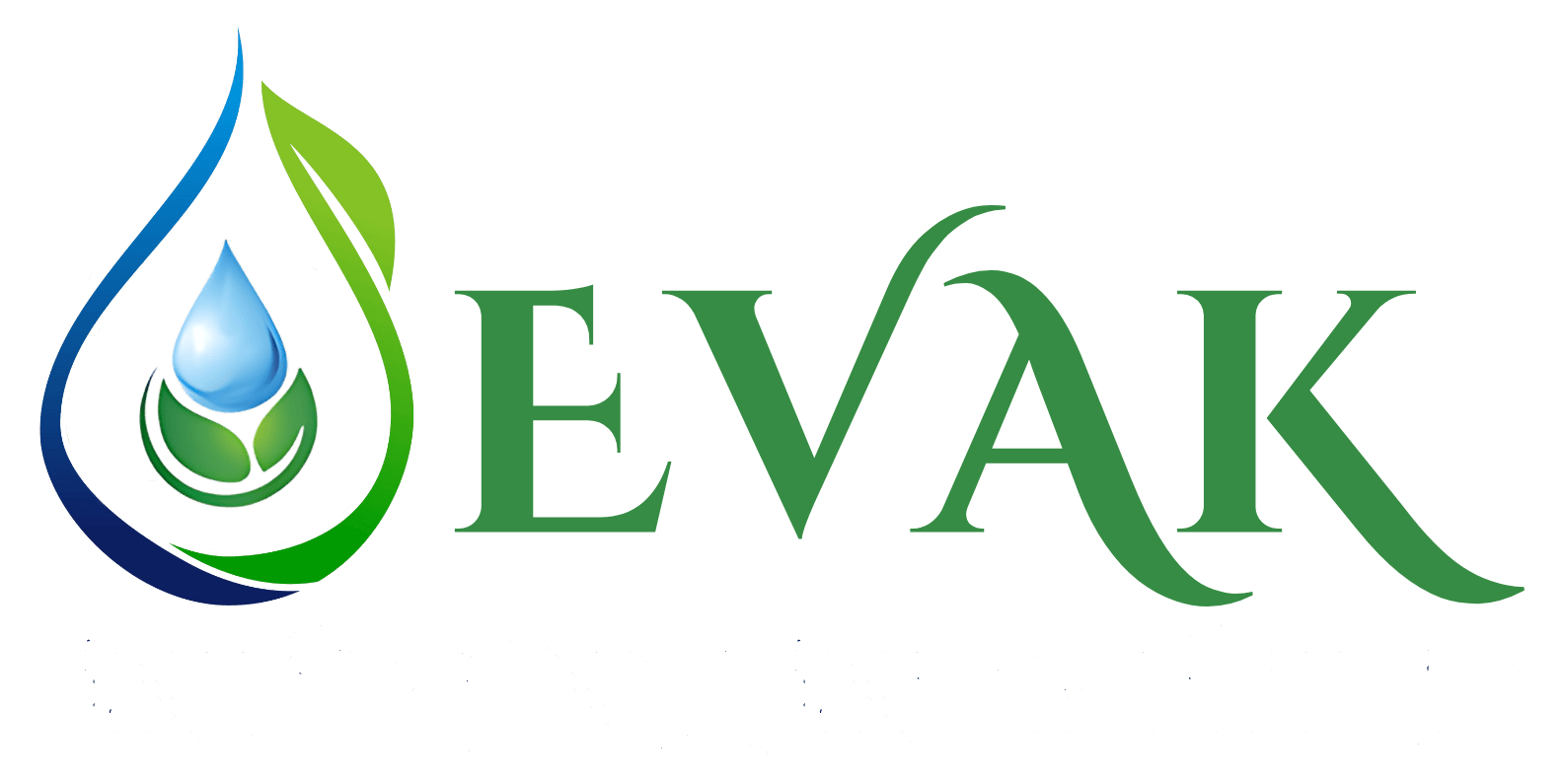 Footer Logo